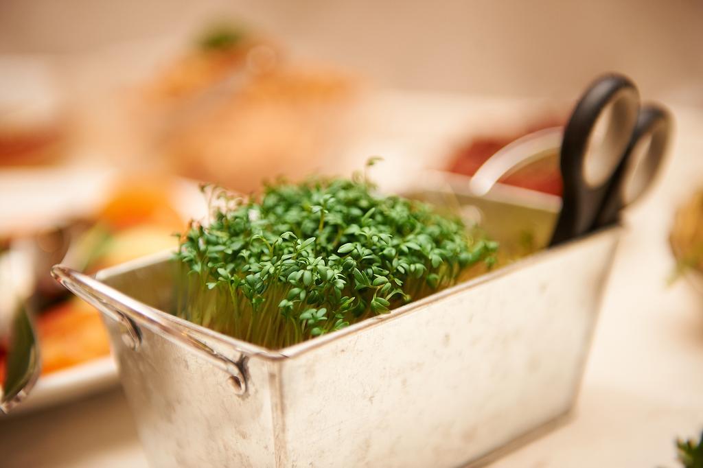 זלטינגן-רכטינג Vegan Hotel Und Restaurants Nicolay 1881 מראה חיצוני תמונה