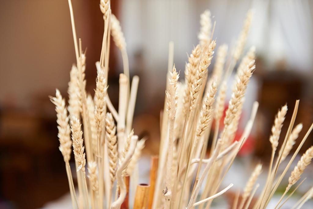 זלטינגן-רכטינג Vegan Hotel Und Restaurants Nicolay 1881 מראה חיצוני תמונה